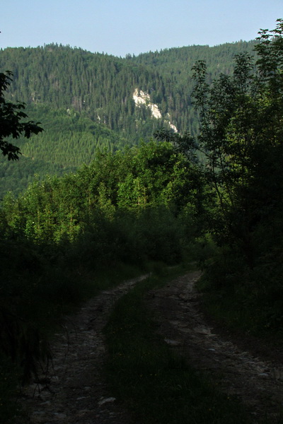 Fabova hoľa (s nocľahom) (Muránska planina)