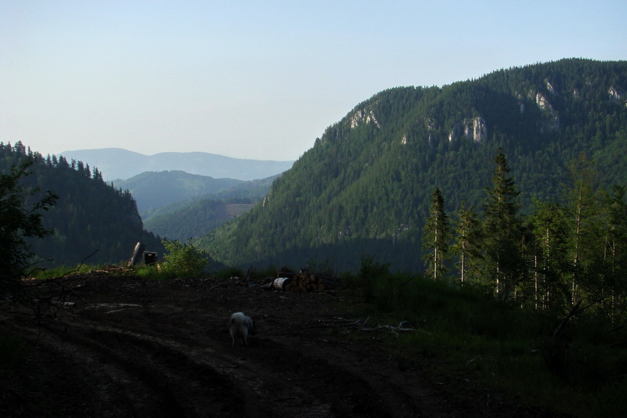 Fabova hoľa (s nocľahom) (Muránska planina)