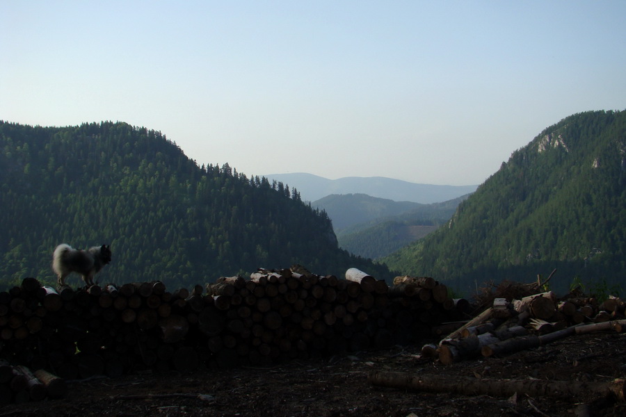 Fabova hoľa (s nocľahom) (Muránska planina)