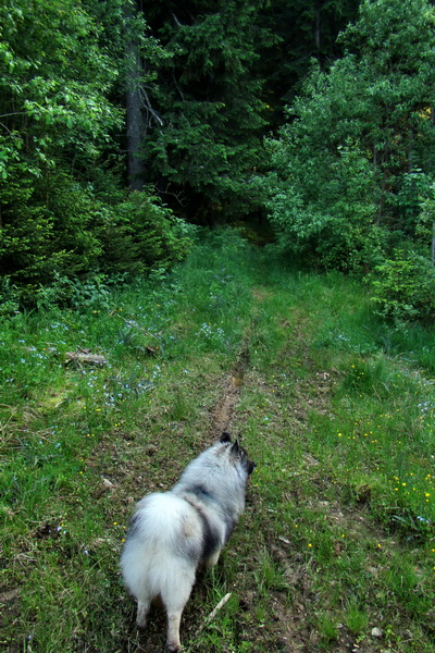 Fabova hoľa (s nocľahom) (Muránska planina)