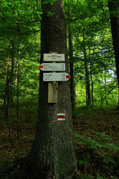 Fabova hoľa (s nocľahom) (Muránska planina)