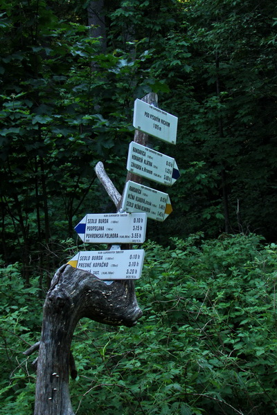 Fabova hoľa (s nocľahom) (Muránska planina)