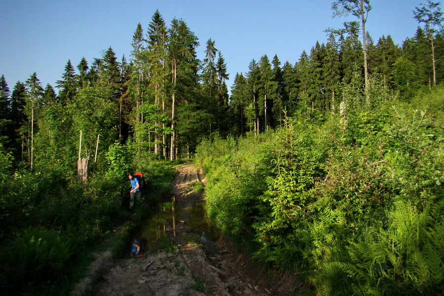 Fabova hoľa (s nocľahom) (Muránska planina)