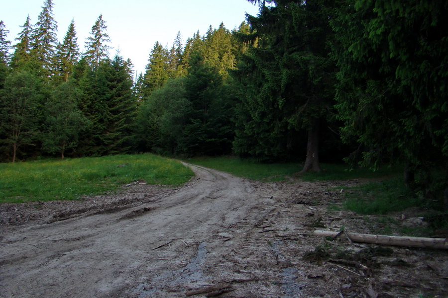 Fabova hoľa (s nocľahom) (Muránska planina)