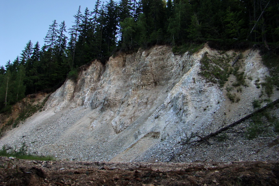 Fabova hoľa (s nocľahom) (Muránska planina)