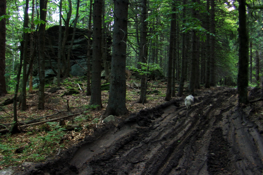 Fabova hoľa (s nocľahom) (Muránska planina)