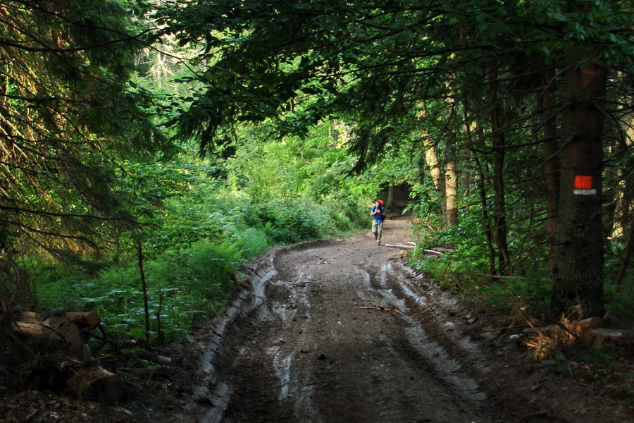 Fabova hoľa (s nocľahom) (Muránska planina)