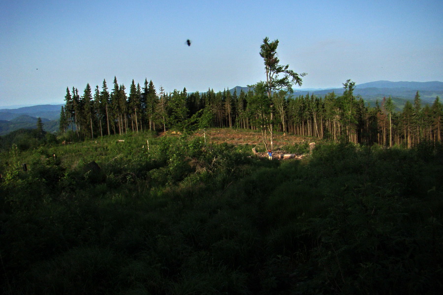 Fabova hoľa (s nocľahom) (Muránska planina)