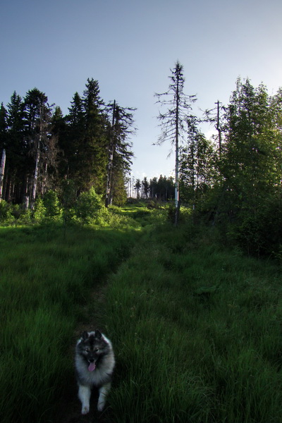 Fabova hoľa (s nocľahom) (Muránska planina)