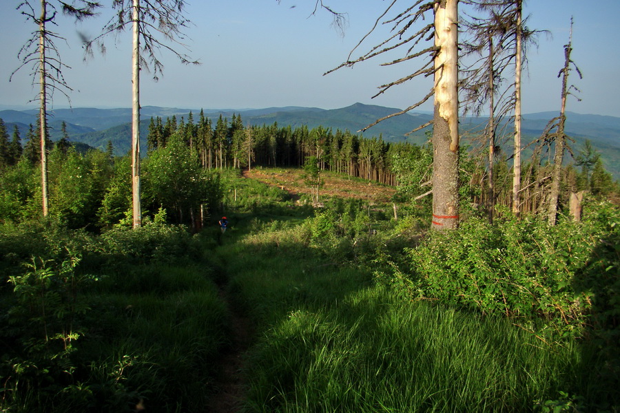 Fabova hoľa (s nocľahom) (Muránska planina)