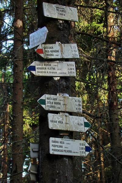 Fabova hoľa (s nocľahom) (Muránska planina)