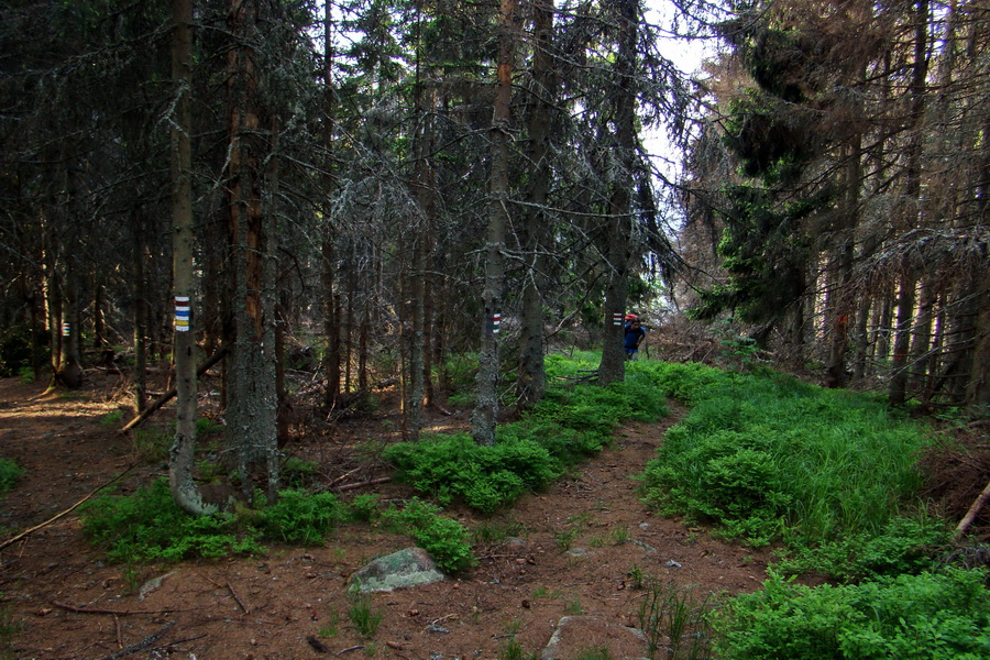 Fabova hoľa (s nocľahom) (Muránska planina)