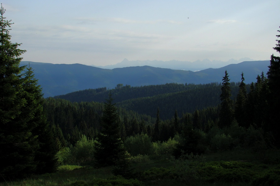 Fabova hoľa (s nocľahom) (Muránska planina)