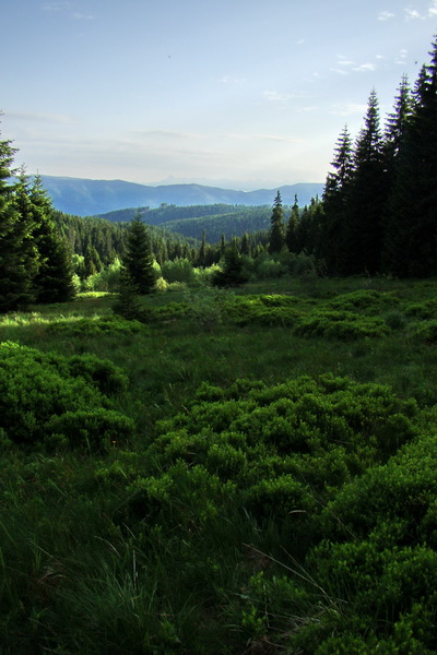 Fabova hoľa (s nocľahom) (Muránska planina)