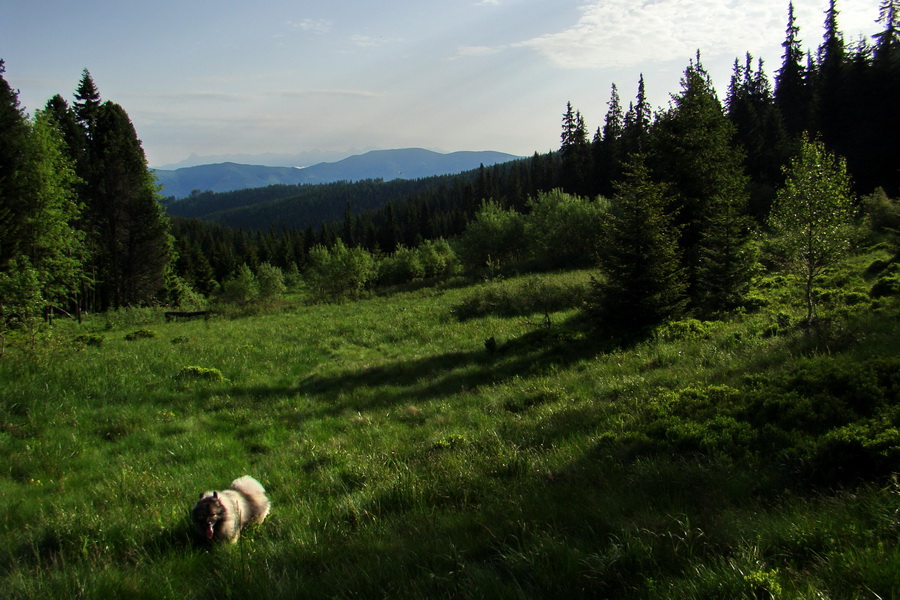 Fabova hoľa (s nocľahom) (Muránska planina)