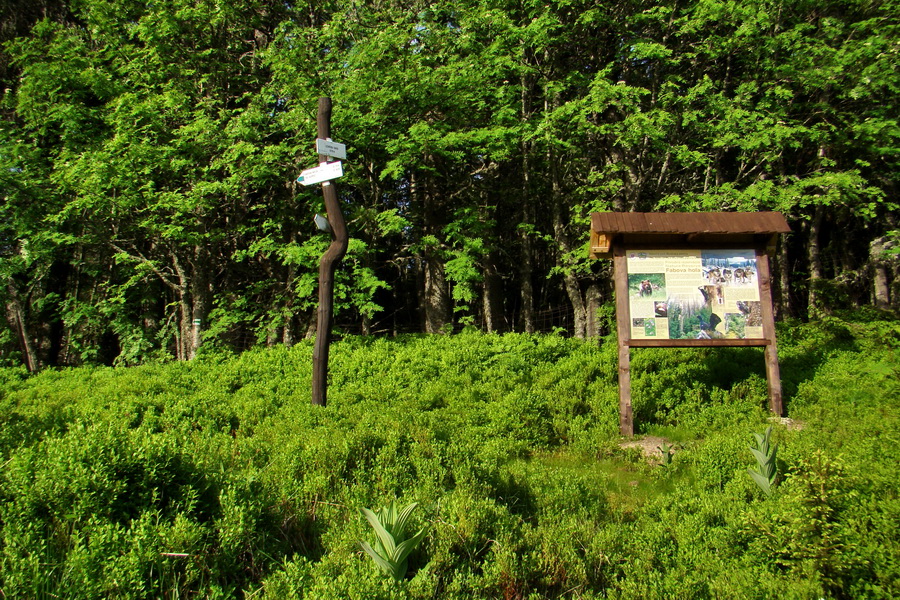 Fabova hoľa (s nocľahom) (Muránska planina)