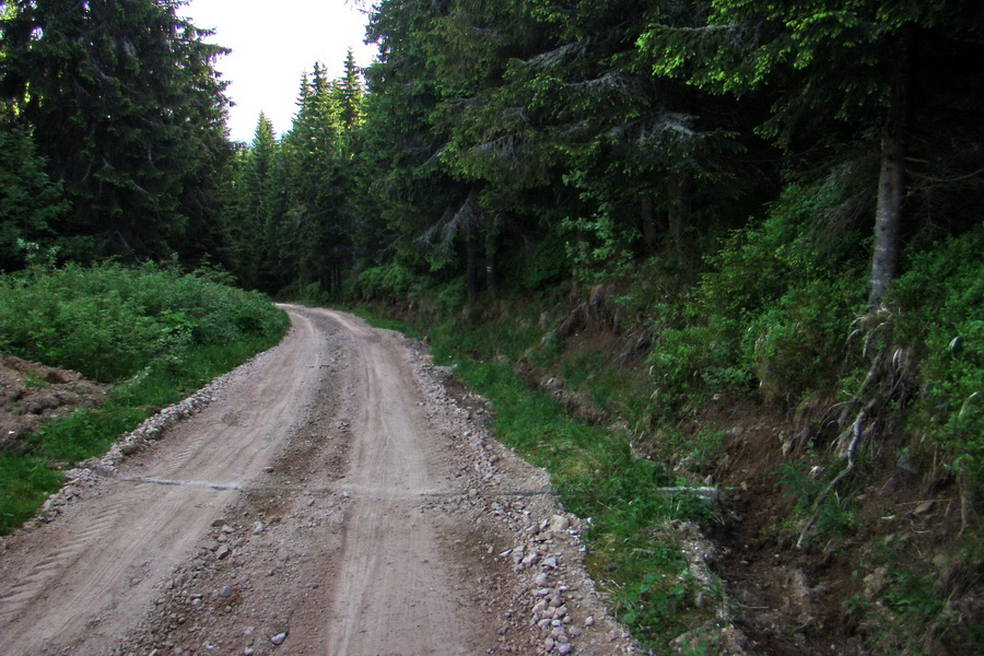 Fabova hoľa (s nocľahom) (Muránska planina)