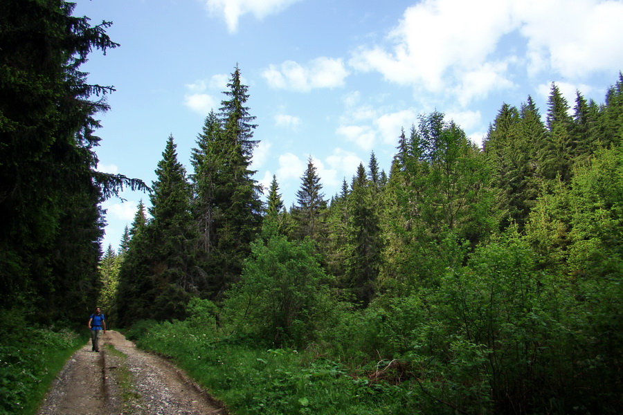 Fabova hoľa (s nocľahom) (Muránska planina)