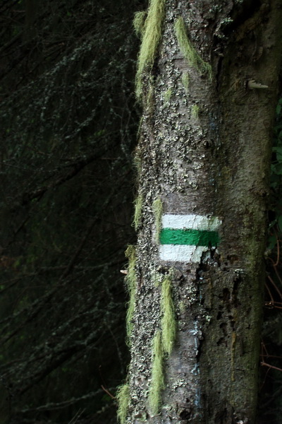 Fabova hoľa (s nocľahom) (Muránska planina)