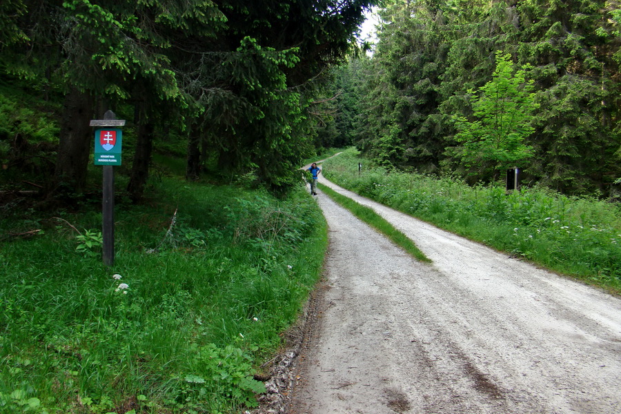 Fabova hoľa (s nocľahom) (Muránska planina)