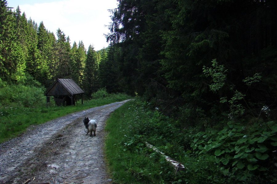 Fabova hoľa (s nocľahom) (Muránska planina)