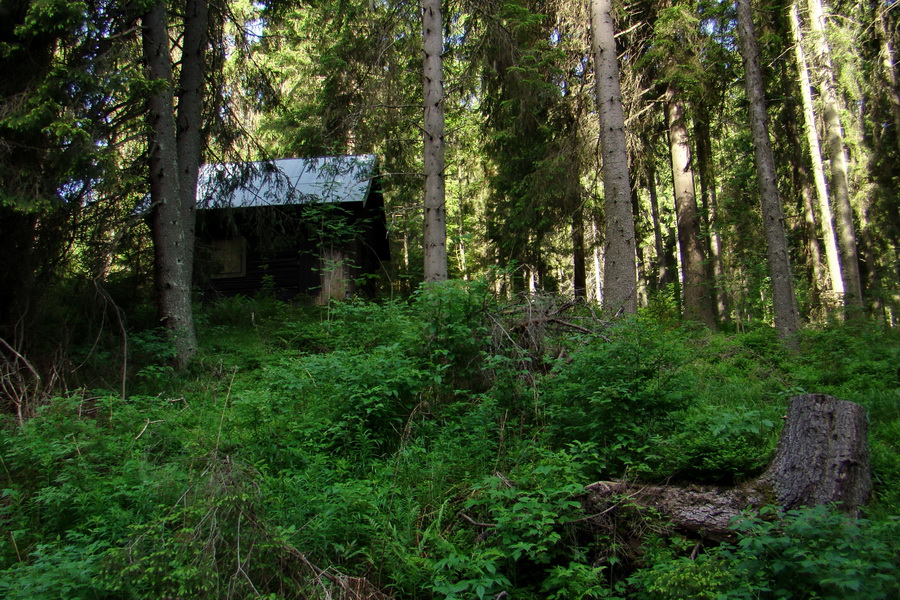 Fabova hoľa (s nocľahom) (Muránska planina)