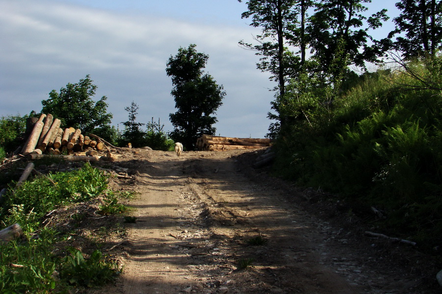 Fabova hoľa (s nocľahom) (Muránska planina)