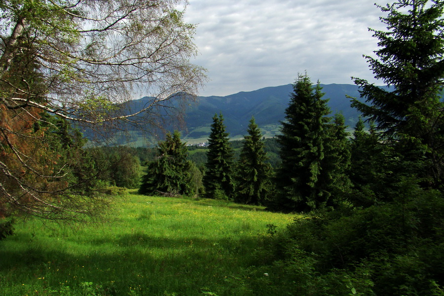 Fabova hoľa (s nocľahom) (Muránska planina)