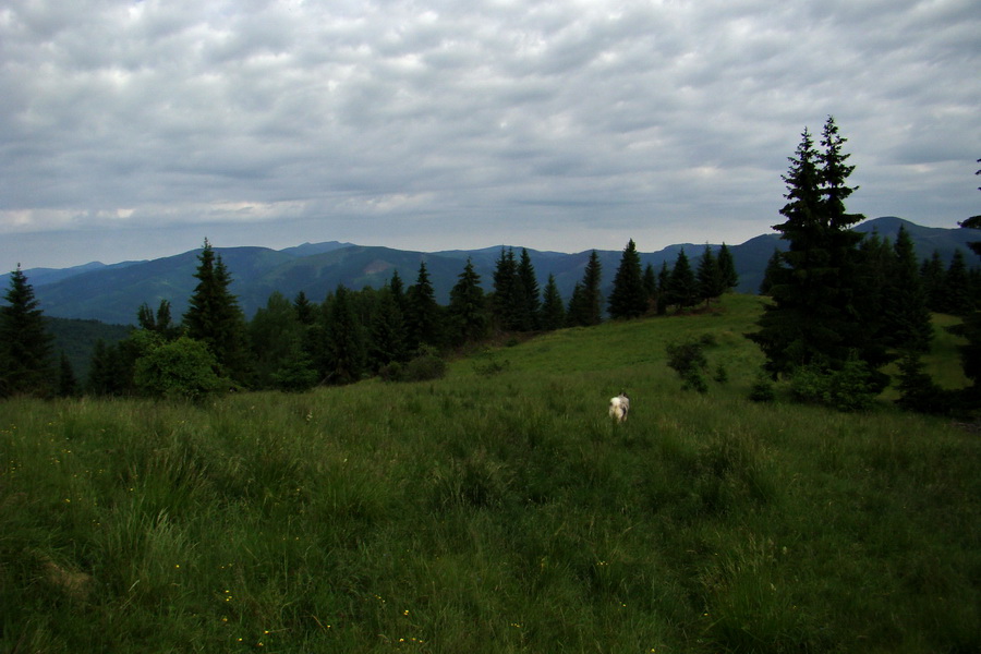 Fabova hoľa (s nocľahom) (Muránska planina)