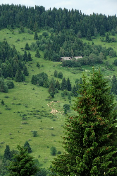 Fabova hoľa (s nocľahom) (Muránska planina)