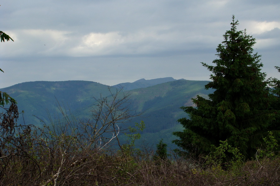 Fabova hoľa (s nocľahom) (Muránska planina)