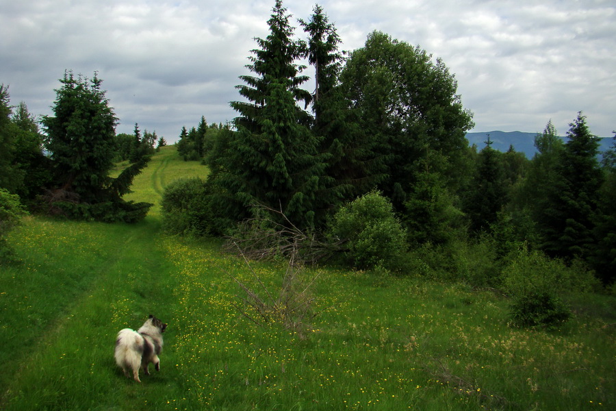 Fabova hoľa (s nocľahom) (Muránska planina)