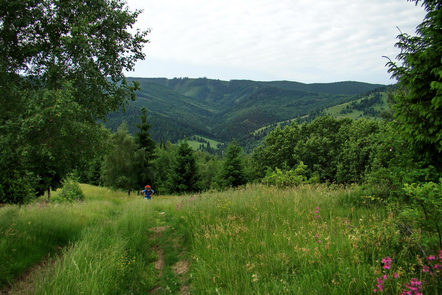 Fabova hoľa (s nocľahom) (Muránska planina)