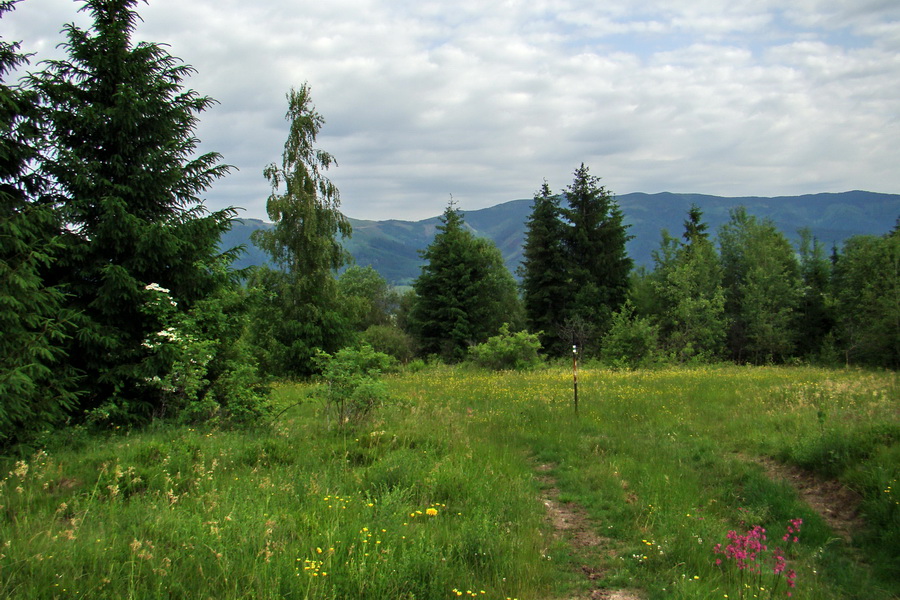 Fabova hoľa (s nocľahom) (Muránska planina)