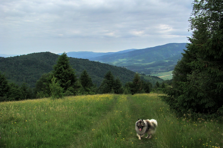 Fabova hoľa (s nocľahom) (Muránska planina)