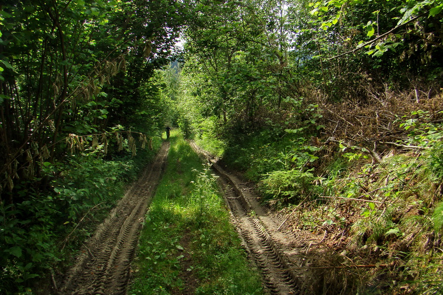 Fabova hoľa (s nocľahom) (Muránska planina)