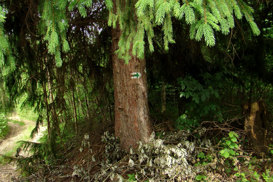 Fabova hoľa (s nocľahom) (Muránska planina)