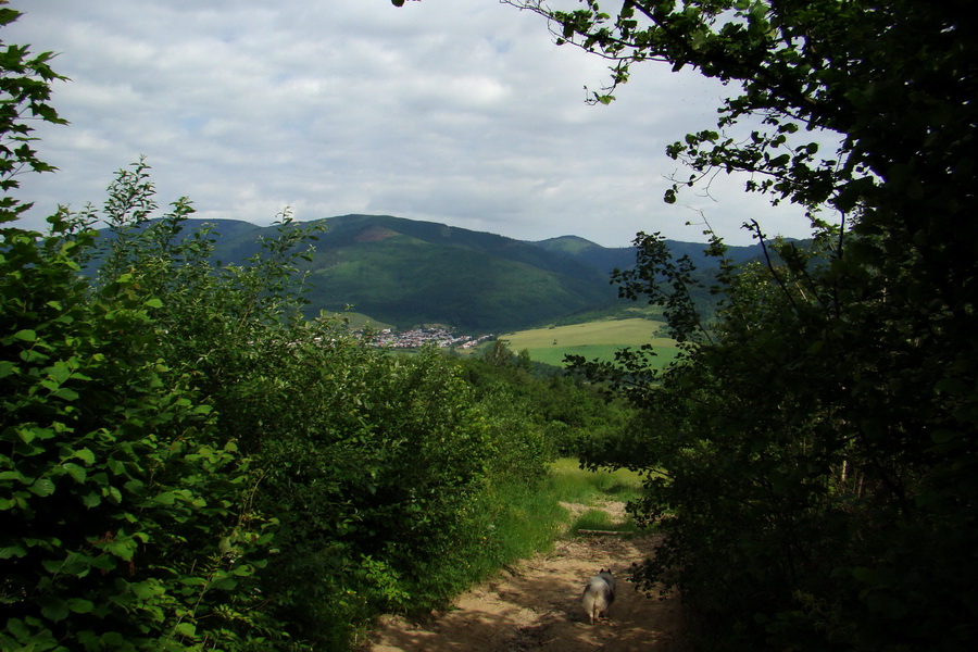 Fabova hoľa (s nocľahom) (Muránska planina)