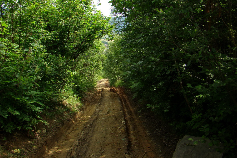 Fabova hoľa (s nocľahom) (Muránska planina)