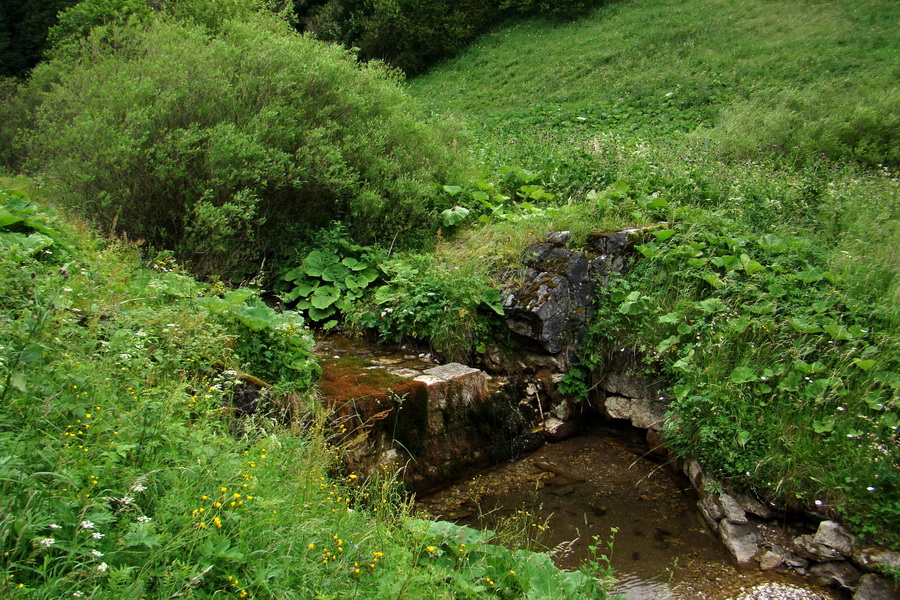 Havrania skala (Slovenský raj)