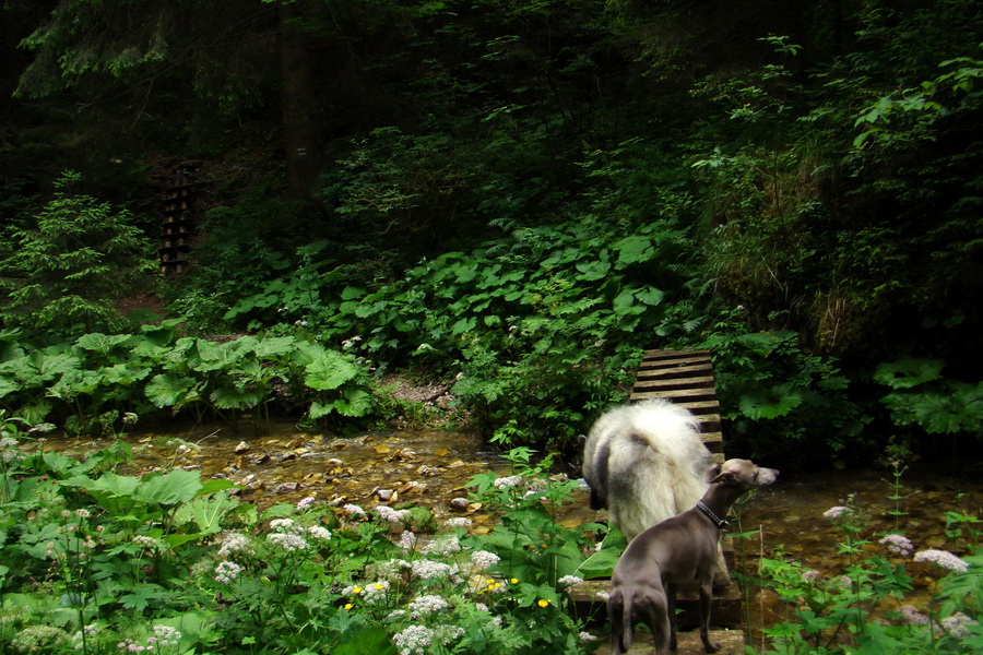 Havrania skala (Slovenský raj)