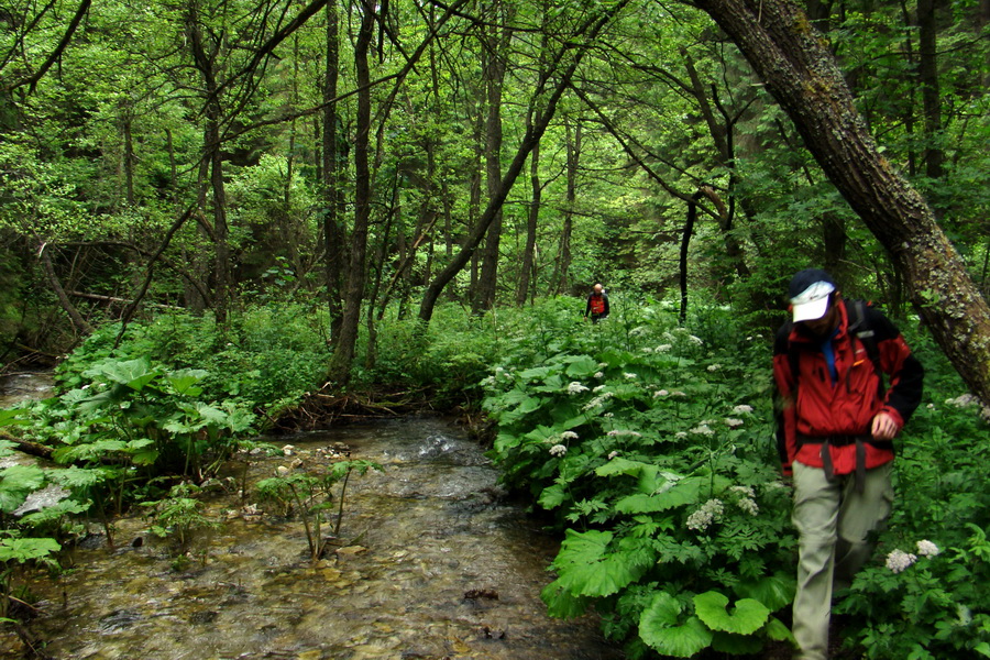 Havrania skala (Slovenský raj)