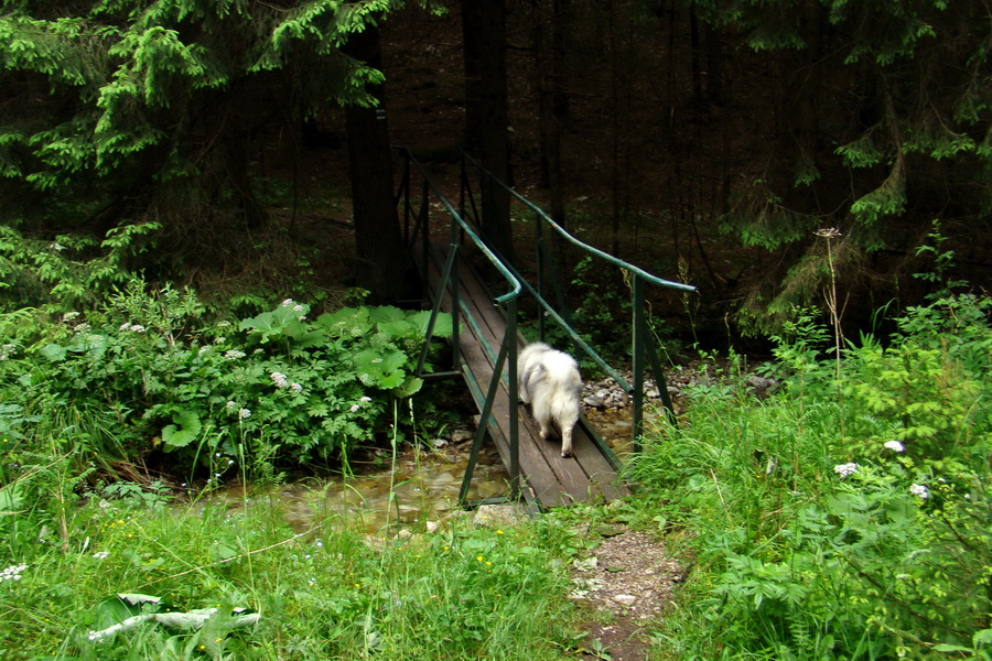 Havrania skala (Slovenský raj)