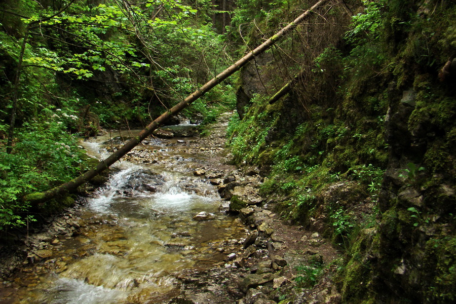 Havrania skala (Slovenský raj)