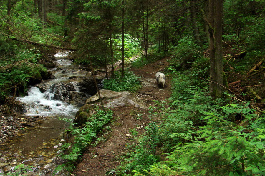 Havrania skala (Slovenský raj)