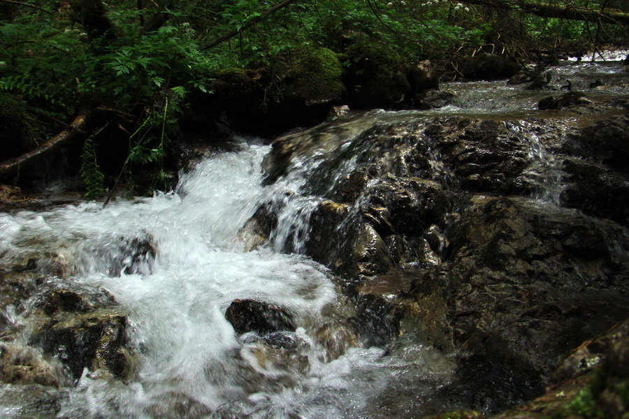 Havrania skala (Slovenský raj)