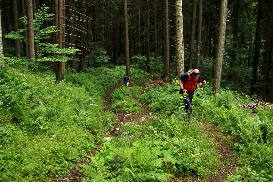 Havrania skala (Slovenský raj)