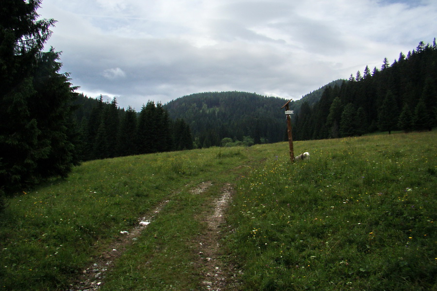 Havrania skala (Slovenský raj)