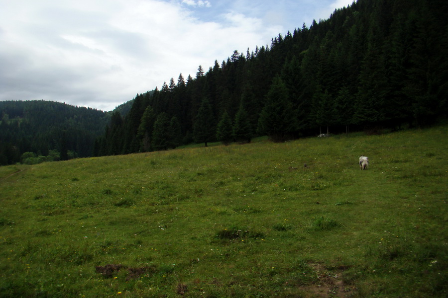 Havrania skala (Slovenský raj)