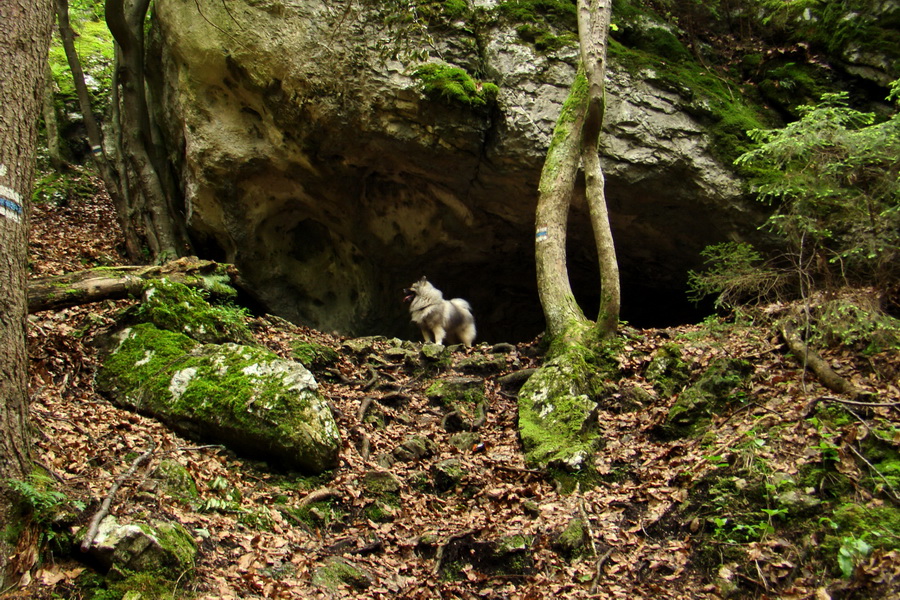 Havrania skala (Slovenský raj)